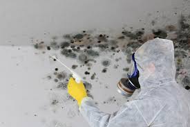 Best Industrial Mold Remediation  in USA